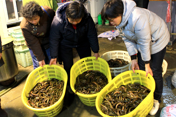 「印光法师」2010年12月6日弘化社纪念印光法师生西70周年放生活动