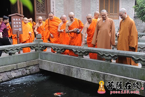 「佛教」云南省南传佛教代表参访团参访七塔禅寺