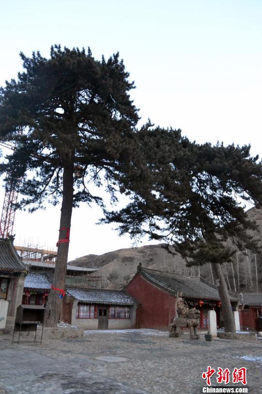 「五台山」探访五台山千年古寺隐居僧人传统与现代生活