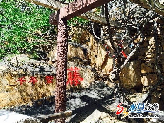 「庙会」山东龙口南山大佛开光纪念日佛光普照 万人朝圣庙会落幕