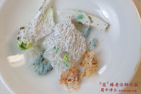 「昌臻法师」昌臻老法师示寂舍利照片 「昌臻法师」昌臻老法师示寂舍利照片