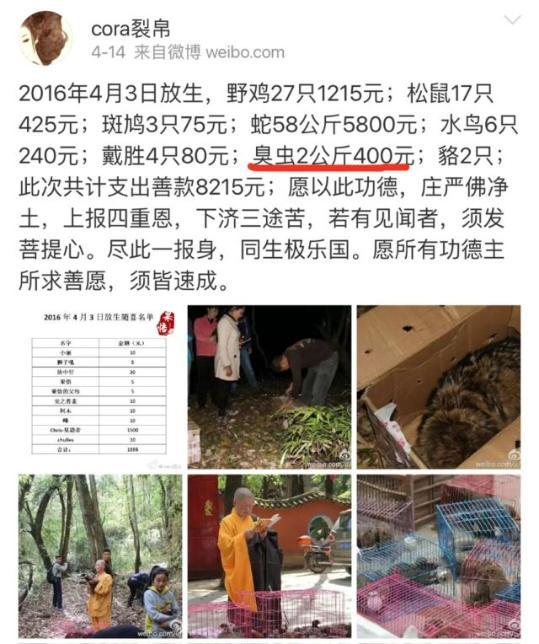 「佛教」触目惊心 放生外来物种致云南珍稀鱼类灭绝