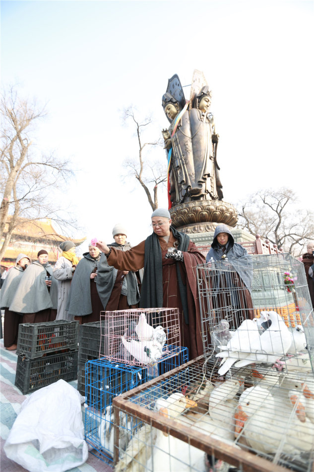 「药师如来」黑龙江大庆市果成寺药师佛圣诞祈福消灾、放生大法会圆满落幕