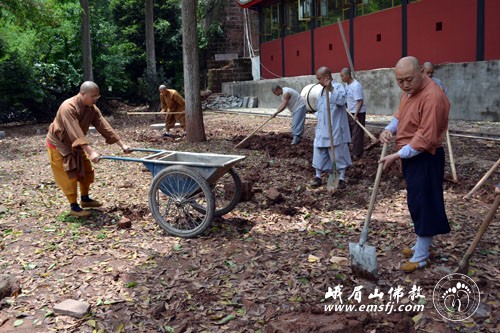 「报国寺」四川峨眉山报国寺僧众出坡劳动，躬行实践普贤菩萨愿行
