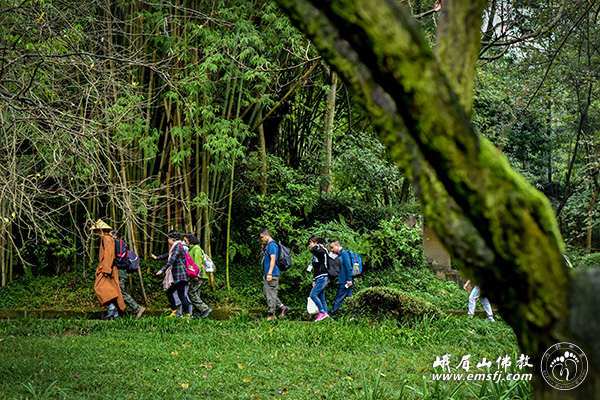 「峨眉山」（3.17）四川峨眉山行愿慈善行日期安排预告