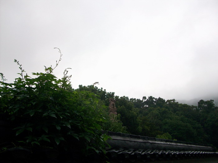 「鬼灯水月」水月清梅：香林净苑僧止静，双泉庵内犬迎宾