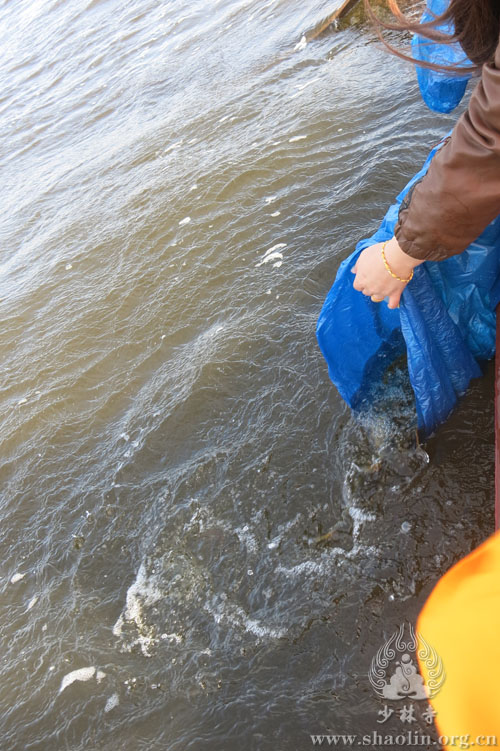 「佛教」天津盘山北少林寺举行诵经放生法会