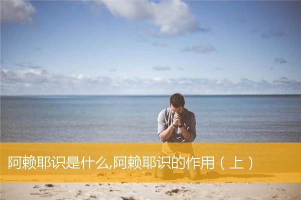 「阿赖耶识」阿赖耶识是什么,阿赖耶识的作用（上）