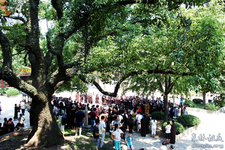 「佛教」弘法人才培训班结业,东林护生会组织放生 「佛教」弘法人才培训班结业,东林护生会组织放生
