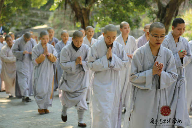 「佛教」广东尼众佛学院举行拜山祈福活动