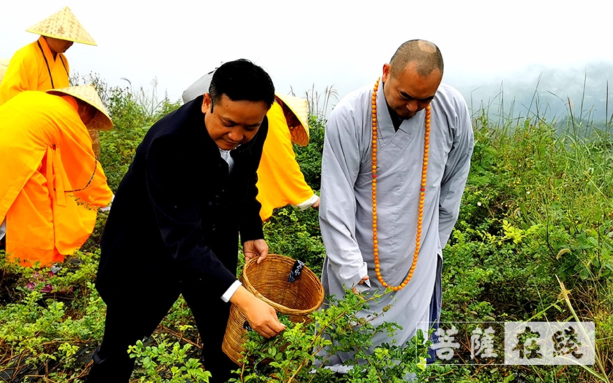 「佛教」张家界佛教协会举办首届佛教农禅文化节