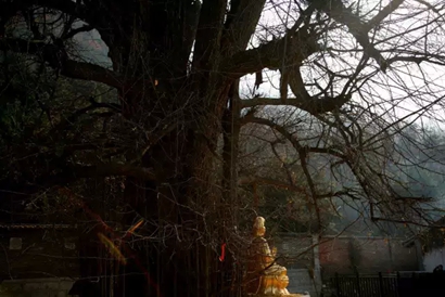 「终南山」终南山古观音禅寺冬季短期出家法讯