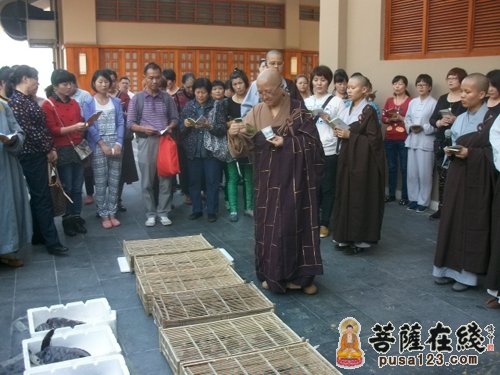 海南海口泰华庵隆重举行南海观音顶礼佛足祈福法会