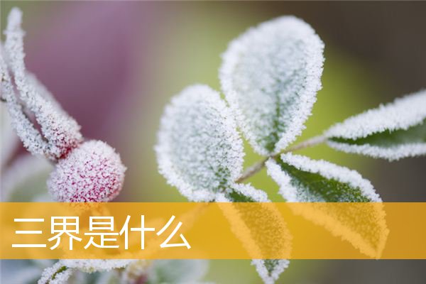 「文化」三界是什么