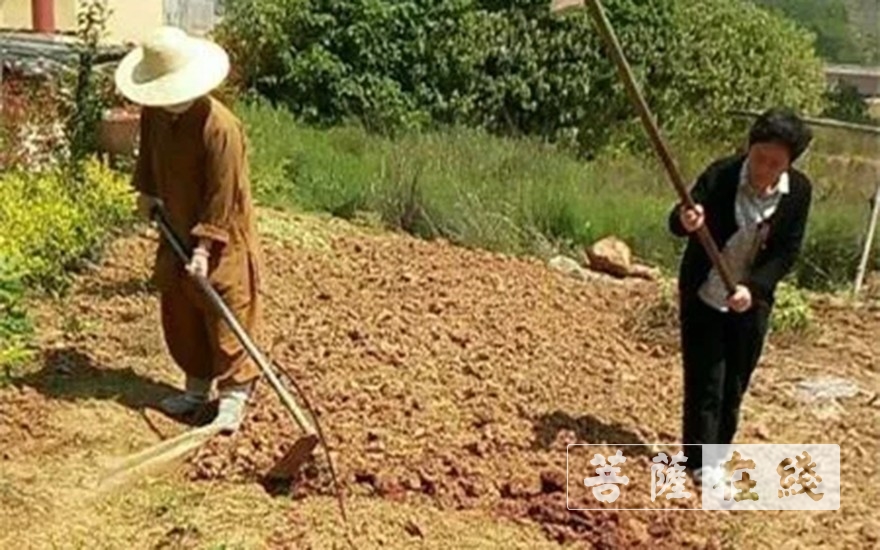 「佛教」抢抓农时,自力更生,湖北各寺掀起春耕生产热潮 「佛教」抢抓农时,自力更生,湖北各寺掀起春耕生产热潮