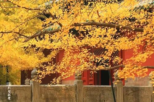 「佛教」佛教启示：是被子暖人，还是人暖被子？