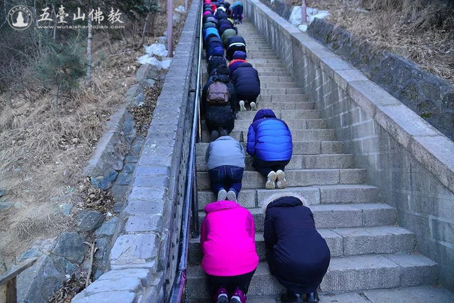 「五台山」五台山文殊洞举办第七届新年祈福朝圣行 三步一拜小朝台
