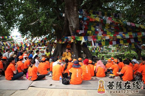 「释迦牟尼」印顺法师带领弘法寺义工、朝圣团在蓝毗尼花园举行诵经祈福法会
