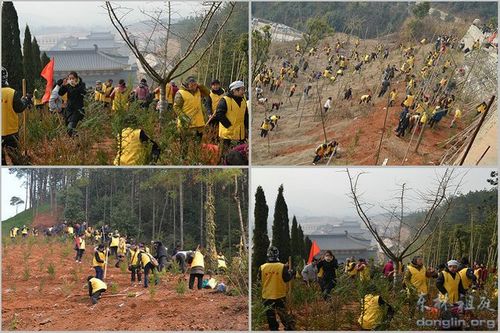 「东林寺」净宗祖庭庐山东林寺举行植树祈福法会