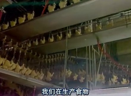 纪录片：食品公司[Food Inc]-揭开食物来源的幕布