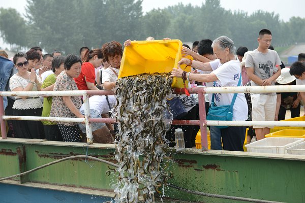 「亲子教育」山东三学净苑2015年第四届亲子教育夏令营圆满落幕 「亲子教育」山东三学净苑2015年第四届亲子教育夏令营圆满落幕
