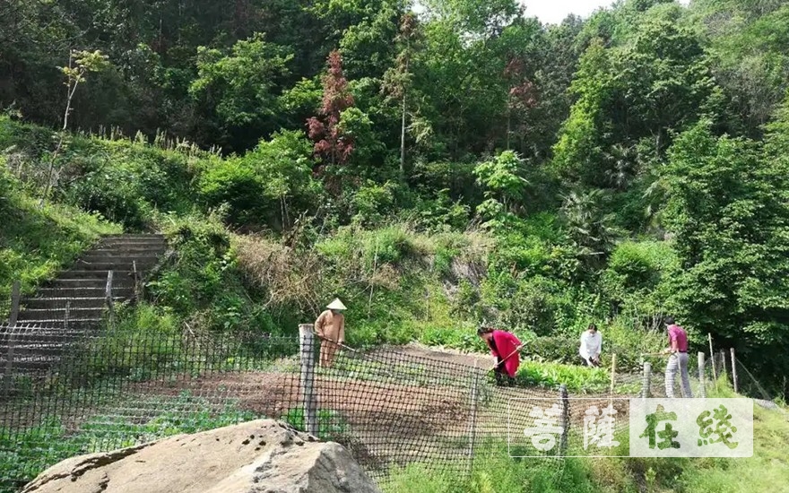 「佛教」抢抓农时,自力更生,湖北各寺掀起春耕生产热潮 「佛教」抢抓农时,自力更生,湖北各寺掀起春耕生产热潮