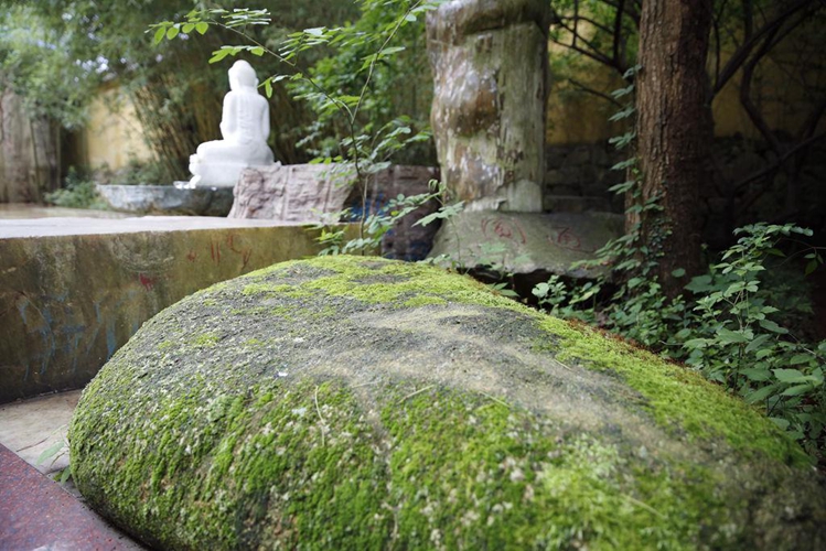「华严经」伽蓝圣诞慧日禅寺启建华严法会