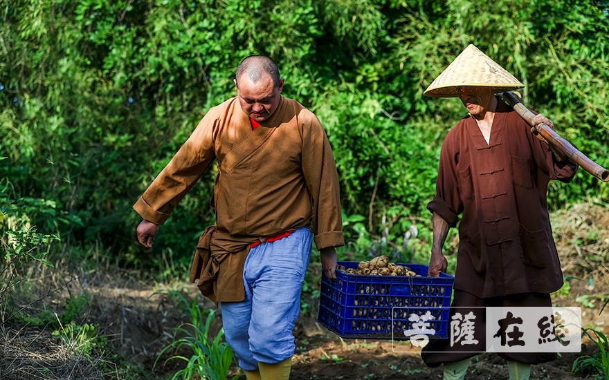 「佛教」浙江省嵊州市常乐寺和新昌县平顶寺僧众组织学习 「佛教」浙江省嵊州市常乐寺和新昌县平顶寺僧众组织学习
