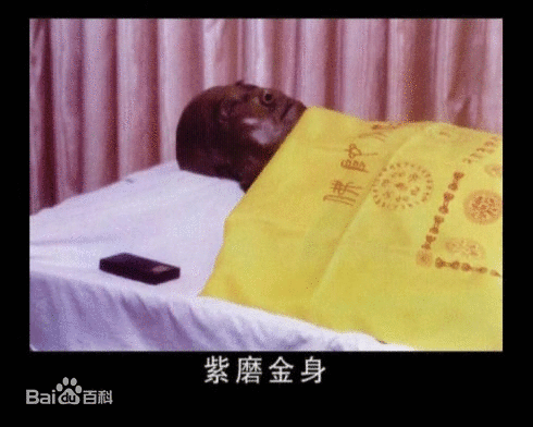 「佛教」百年高僧之：人中狮子宣化上人