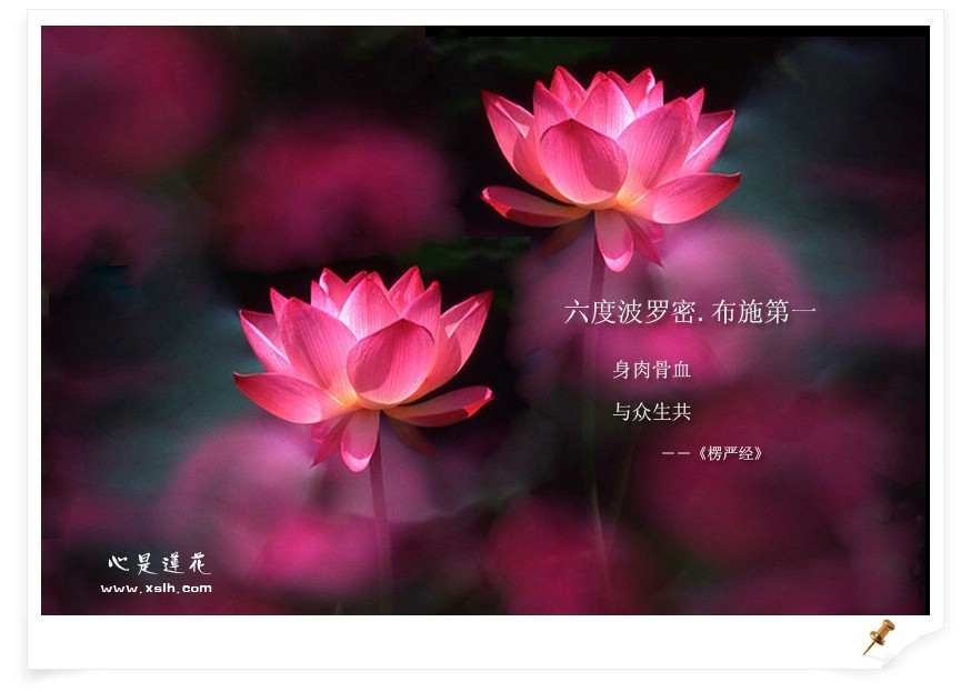 布施一条裤子的果报