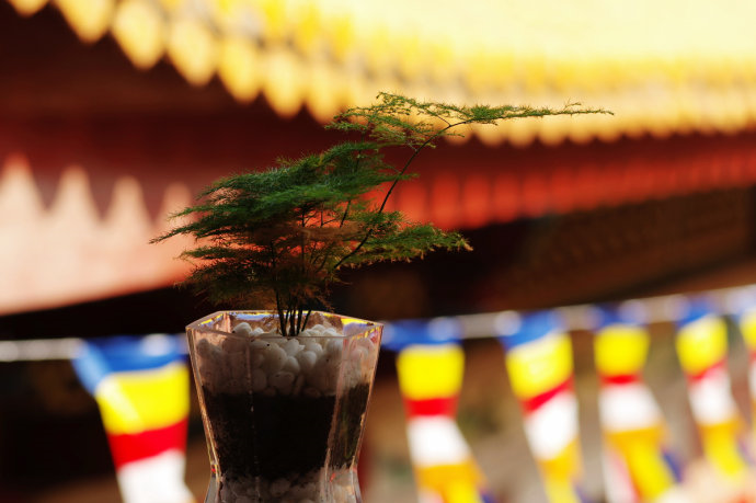 「佛教」佛教教旗的缘起与象征意义 「佛教」佛教教旗的缘起与象征意义