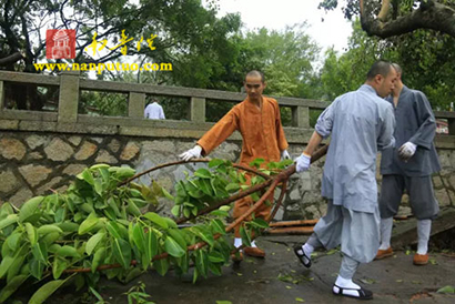 「南普陀寺」善心善行！灾后重建南普陀寺僧众义工齐出动