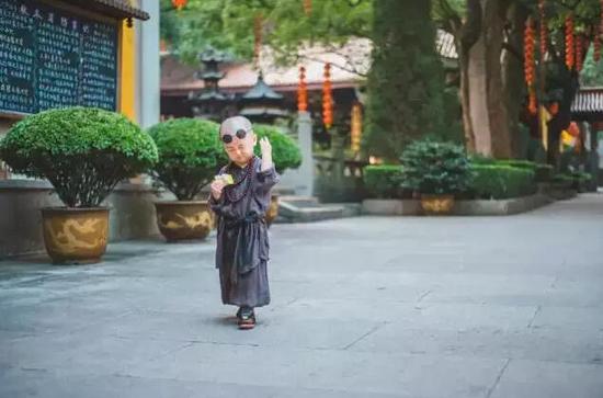 「灵隐寺」灵隐寺两岁“小和尚”萌爆网络