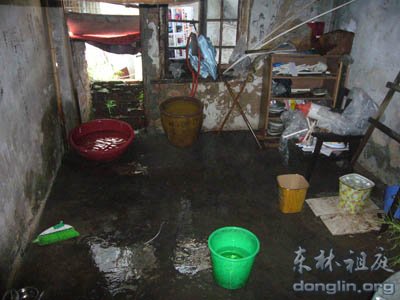 一个风雨摇曳的家