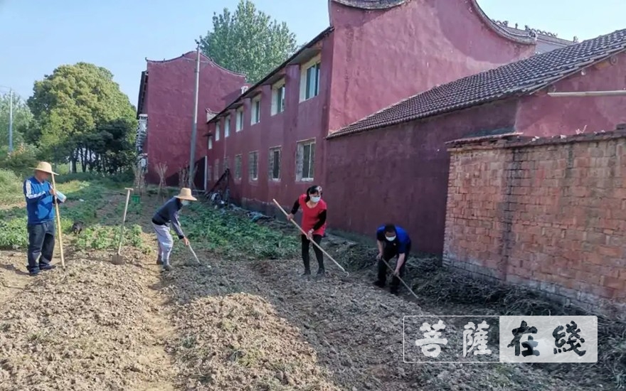 「佛教」抢抓农时,自力更生,湖北各寺掀起春耕生产热潮 「佛教」抢抓农时,自力更生,湖北各寺掀起春耕生产热潮