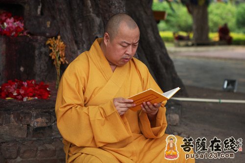 「释迦牟尼」印顺法师带领弘法寺义工、朝圣团在蓝毗尼花园举行诵经祈福法会