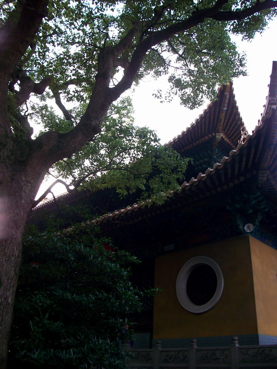 「普济寺」不开山门却香火旺盛的普陀山普济寺 「普济寺」不开山门却香火旺盛的普陀山普济寺