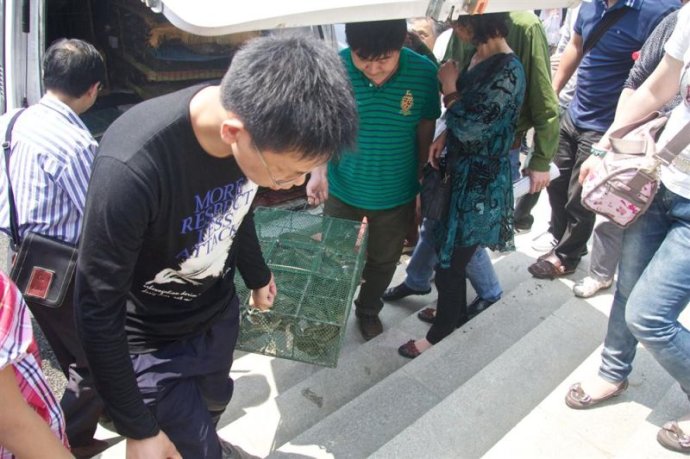 「红安」武汉归元护生群联合红安天台寺举行大型放生法会 「红安」武汉归元护生群联合红安天台寺举行大型放生法会
