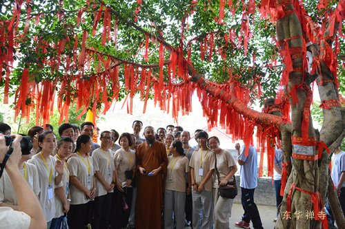 「佛教」广东韶关东华禅寺第四届“禅与幸福人生”夏令营闭幕