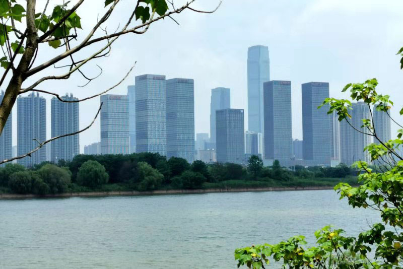 「佛教」中国佛教协会副会长圣辉大和尚主法观音阁佛像开光法会
