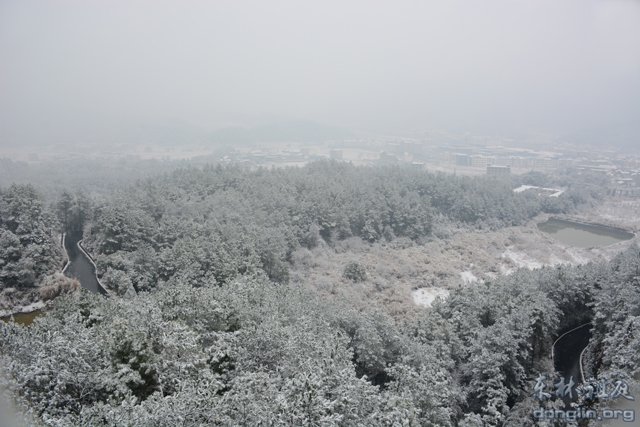 「佛教」佛教摄印－－大佛印雪