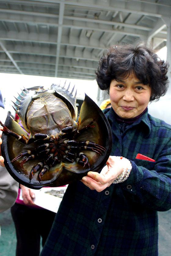「观音」2015年二月十九观音圣诞拜忏、放生法会