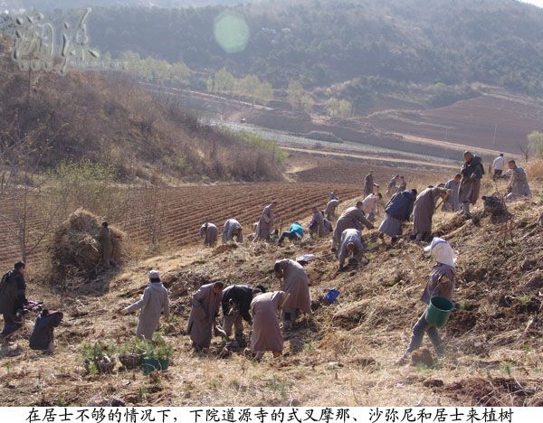 「大悲寺」图文回溯辽宁海城大悲寺之建设、发展历程