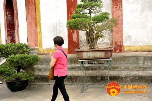 国庆节当天广东南华禅寺迎来近万名游客