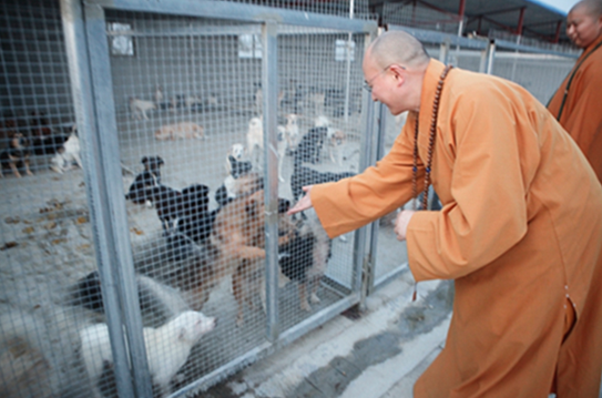 「佛教」浙江宁波慧日禅寺传喜法师开展江苏弘法行 「佛教」浙江宁波慧日禅寺传喜法师开展江苏弘法行