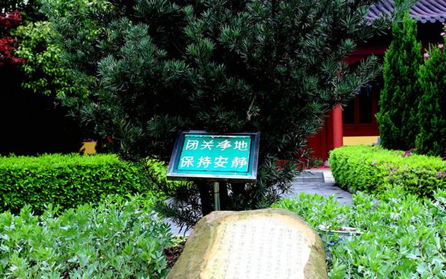 「庐山东林寺」庐山东林寺闭关念佛圆满出关 听听师兄们的感受