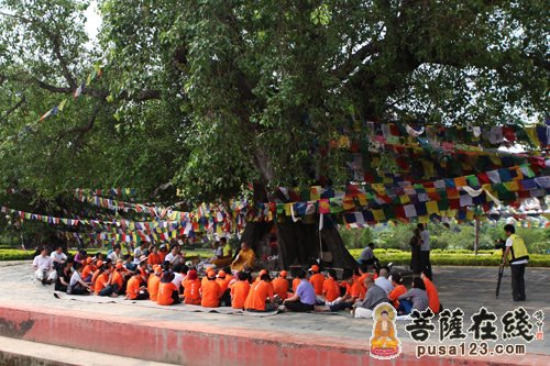 「释迦牟尼」印顺法师带领弘法寺义工、朝圣团在蓝毗尼花园举行诵经祈福法会