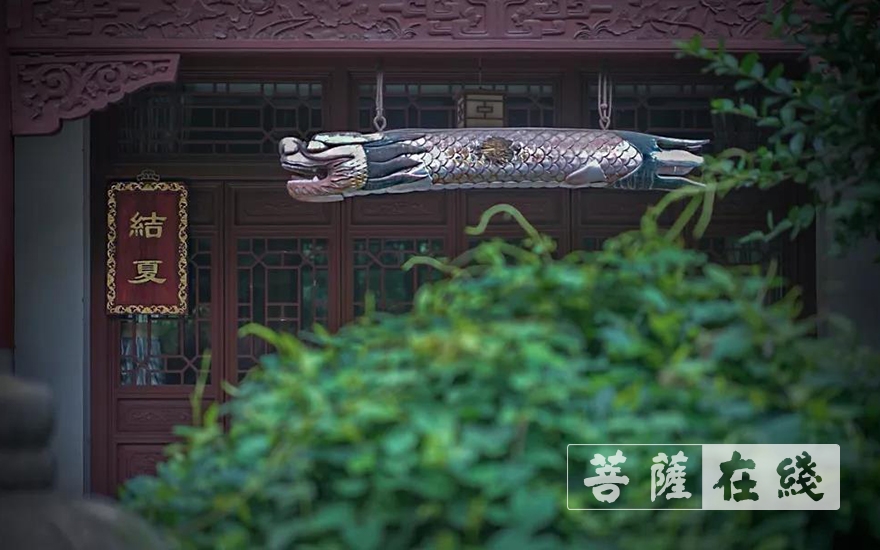 「佛教」杭州永福禅寺依佛制结夏安居 「佛教」杭州永福禅寺依佛制结夏安居