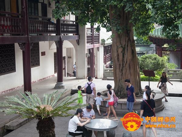 「佛教」曹溪圣地广聚善缘　十方信众虔诚参拜