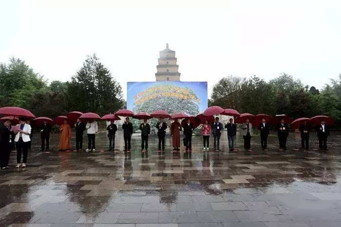 「娑罗树」玄奘手植娑罗树子树赠送仪式在陕西西安大慈恩寺举行